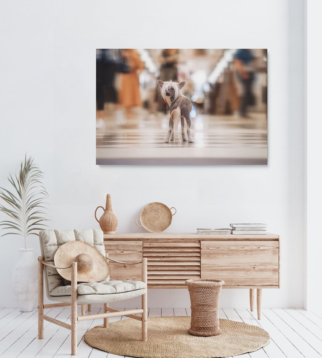 Sophisticated MondAcn Canvas taulu Dekoa