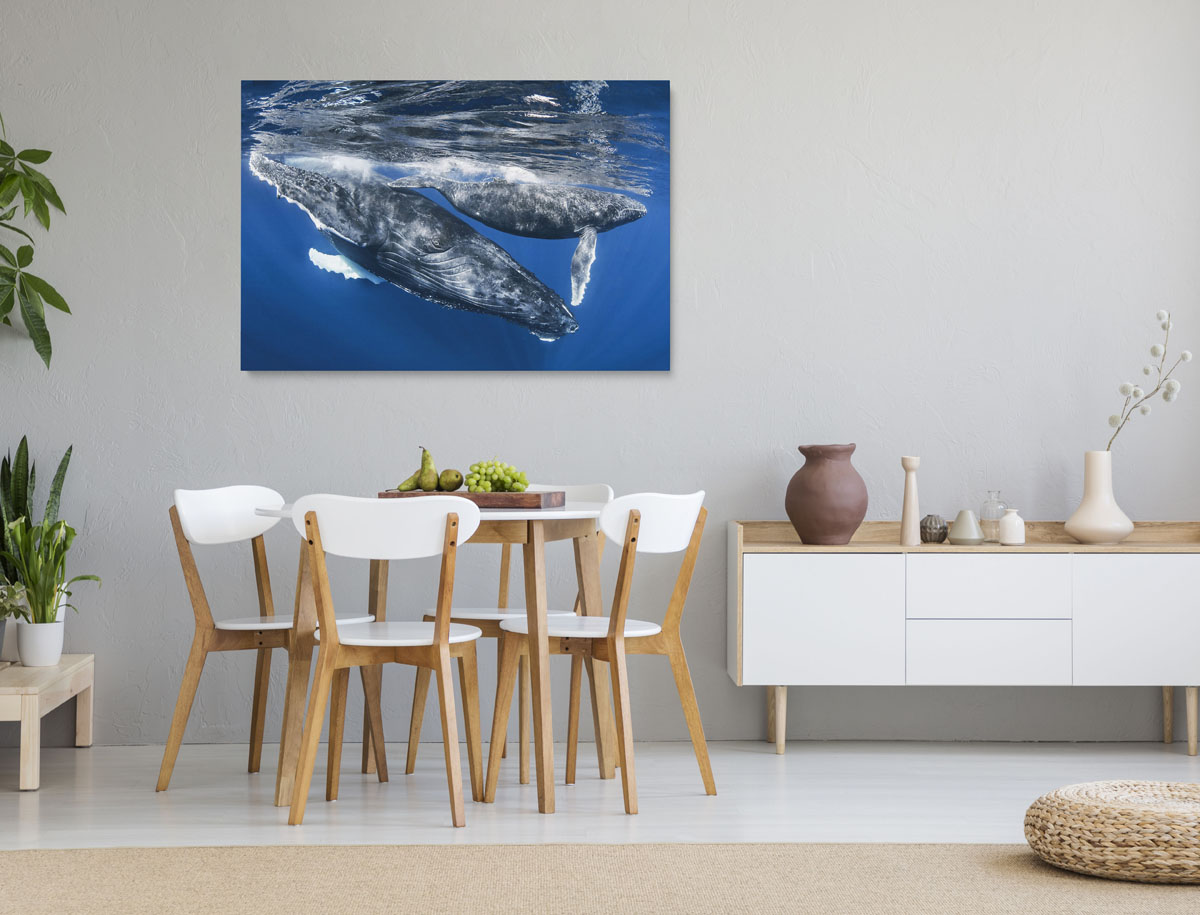 norsunvalas-ja-vasikka-réunionin-saari-taulu_1_1626952_3 Réunionin saari-taulu jossa suuri mustavalkoinen eläin