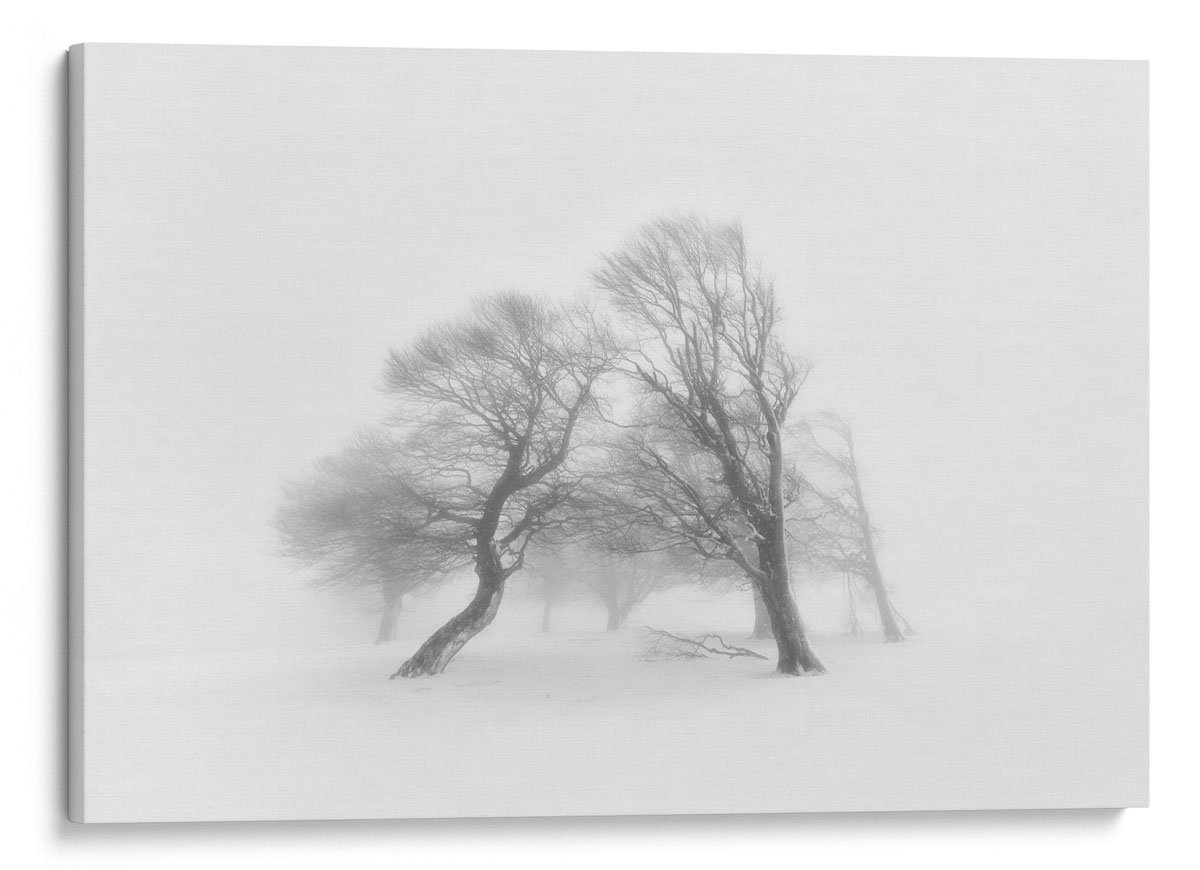 Together Canvas taulu Dekoa